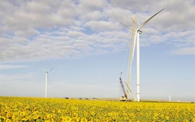 Blue Chip Firms call for Corporate Renewable PPA Boost in Stimulus Package