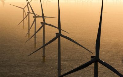 Denmark looks for New Offshore Wind Sites after Halting Tender