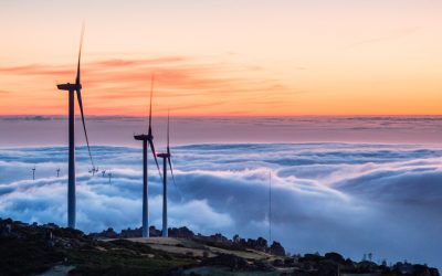 Giles Dickson decides to Step Down as CEO of WindEurope